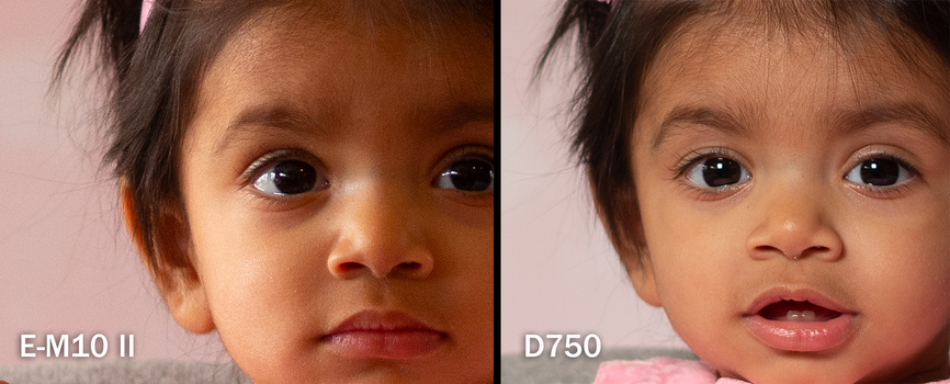 The Olympus E-M10 Mark II vs. the D750 at 100 percent. The D750 produces a cleaner image all around, even without the lighting advantage (which it has in this shot). The Olympus E-M10 Mark II vs. the D750 at 100 percent. The D750 produces a cleaner image all around, even without the lighting advantage (which it has in this shot).