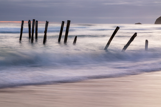 EVF Composition EVF Composition