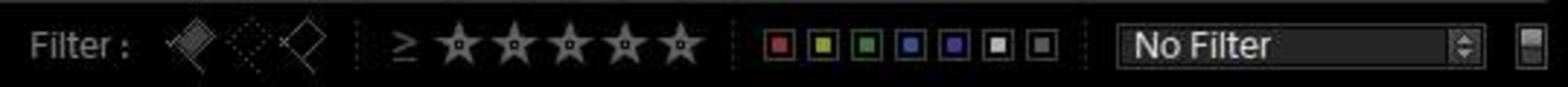 Lightroom's Filter Bar