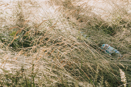 simple street photography projects for beginners A plastic bottle discarded in tall grasses
