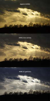 At first I thought auto white balance is the same, but as you can see, the auto white balance of the camera does a better job than the auto white balance in Lightroom. This is logical, I think. The camera was there at the spot, Lightroom just looks at the
