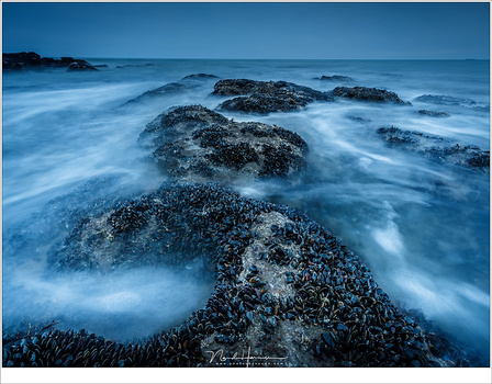 A mussel bed at the Opal Coast during twilight. I did not want an exposure time that was too long - it became low tide and the water wasn't that wild. Because of the evening twilight I did not need any ND filter at all. (EOS 5D mark IV + EF16-35L @ 16mm |