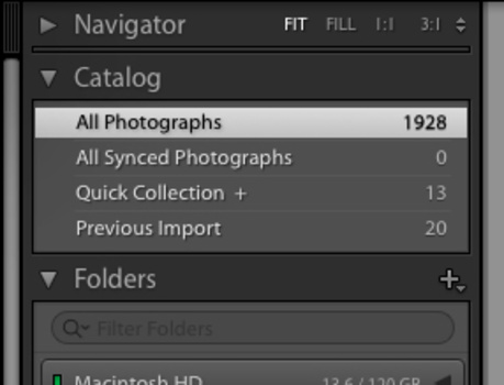 a screenshot of the Catalog module in Lightroom CC