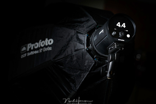 WIth the amazing B10 Profoto addressed all shortcomings of the B1 and B2. It is small, powerfull and very versatile. Although the power is (just) over one stop less than the Godox AD600, it beats it on every level. Except - again - the prize.