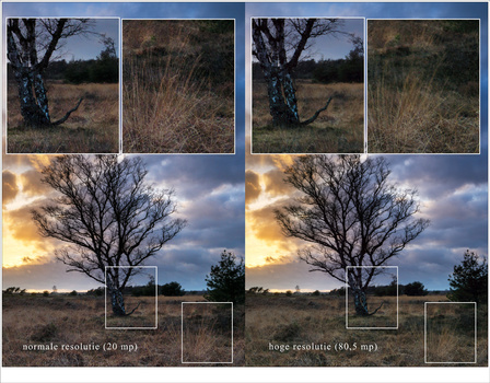 The Panasonic Lumix DC-G9 has the ability of shooting in super resolution. But you have to be careful with movement in the frame. That will produce a local blur as can be seen in this example.