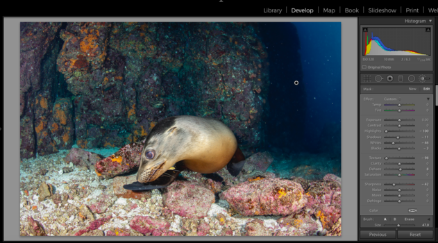 adobe, lightroom, joanna lentini, backscatter