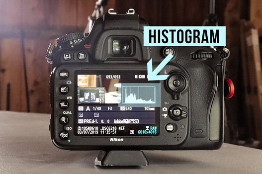 Nikon D610 previewing the histogram