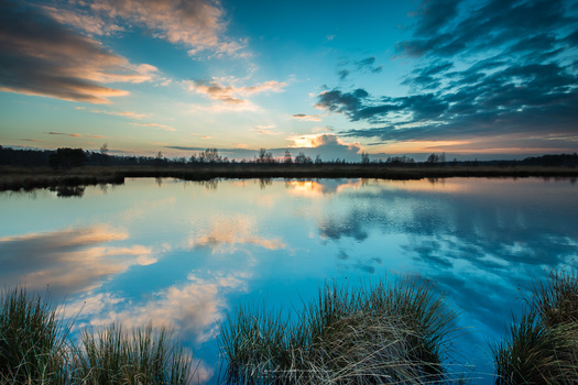 A subject in the foreground is only interesting if it adds value. The grass in this landscape photo does not very interesting and the photo has no benefit from it. That is what I think. (Canon EOS 5D3 + 17mm | ISO100 | f/11 | 1/10)