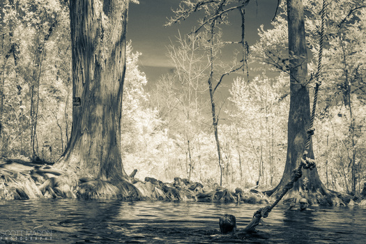 an infrared photo of a kid hanging on a rope swing in the water