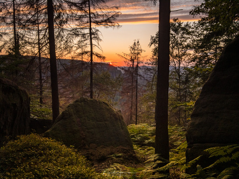 Sunset from the path over the Kleiner Winterberg. A quick capture with my smartphone in DNG file format and post-processed in Lightroom. (iPhone 6s | 4mm | ISO25 | f/2,2 | 1/900 with -2,7EV | HDR setting enabled)