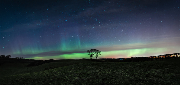 aurora borealis over the Kissing Trees in Scotland