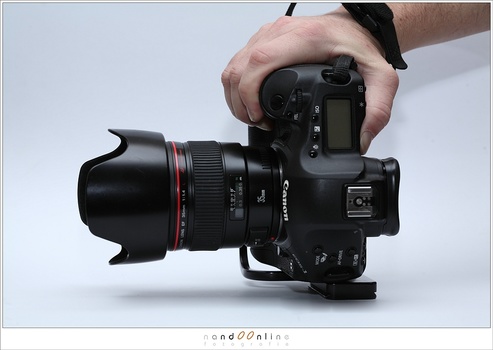 My Canon EOS 1D mark III also had a L-bracket. It gave a lot of protection from damage when placing the camera on stage during concert photography, just like in this example.
