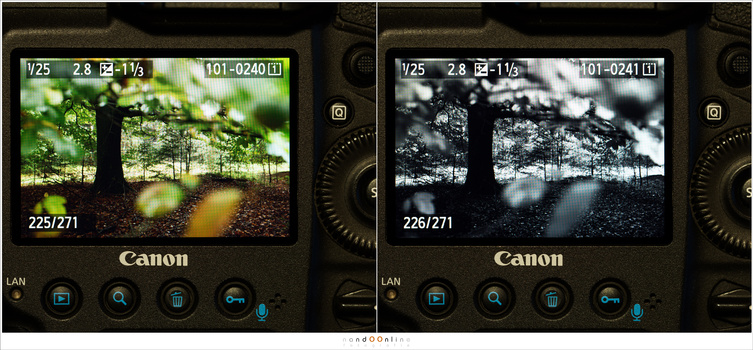 This example shows the difference between shooting in color, and shooting in black and white. It offers a completely different way of judging the picture. If you shoot in raw, the color information will be available in post processing.