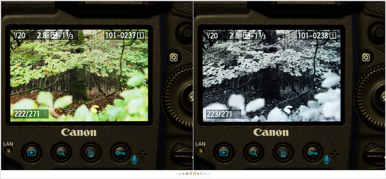 You might think a scene will work in black and white when you look at the color preview on the LCD screen of your camera. By looking at the preview in black and white, it is easier to see if the black and white will turn out.