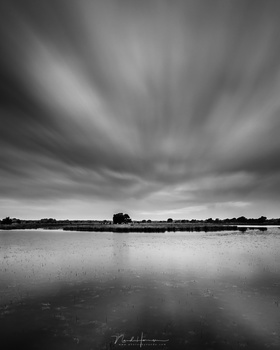 If the photo did not turn out so good, changing it into a monochrome image will not make it better. I am convinced black and white photography is totally different from color photography. Colors can distract and prevent one from thinking in contrasts. (EO