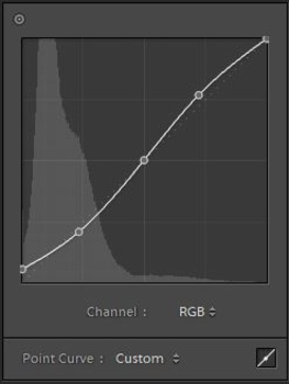 Tone curve with black point raised and with an 'S' shape for contrast