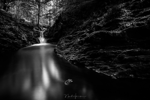 When the photo is temporary converted to black and white, it becomes clear how much attention the bright spots in the water attracts. Removing color can help to see these things.