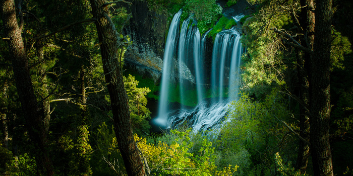 The color of this 27 meter waterfall stands out from its surroundings. It is nearly impossible to see the different in brightness from the tree leaves. For that you need to convert the color photo into black and white.