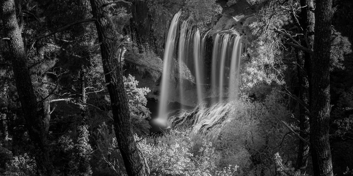 The brightness of the waterfall and leaves are almost the same, which becomes visible after the conversion to black and white. There are almost no bright areas in the picture. By darkening the leaves the contrast will become better. You could even brighte