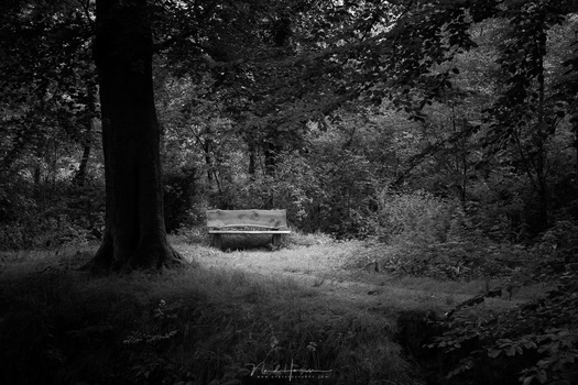 With a circular gradient I darkened the surroundings. This way the bench becomes a point of interest. The photo has gained a lot of contrast.