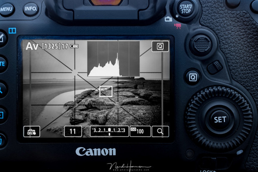 With this image, there is room for improvment concerning exposure. It is possible to extend the exposure with almost 1,5EV, thus maximizing the amount of detail. The camera is set to a monochrome picture style to prevent color from being distracting. It h