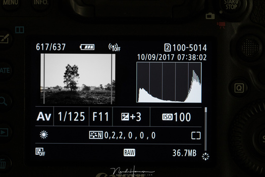 Exposing for shadows, like in this example, is not wise in the digital age. When highlights are overexposed, it cannot be recovered. This is the big difference with analogue film. So it is wise to stay away from overexposure.