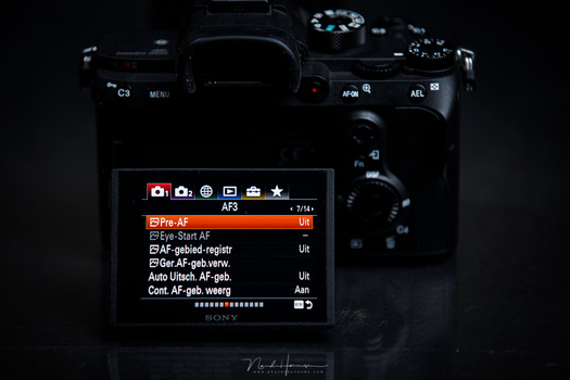 For me, there is not a lot to like about the Sony cameras, but its AF is amazing and should work perfectly for my wedding photography.