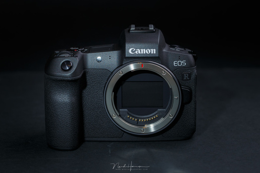 There is one thing that is really good with the EOS R; its articulating screen and its touchscreen functionality.