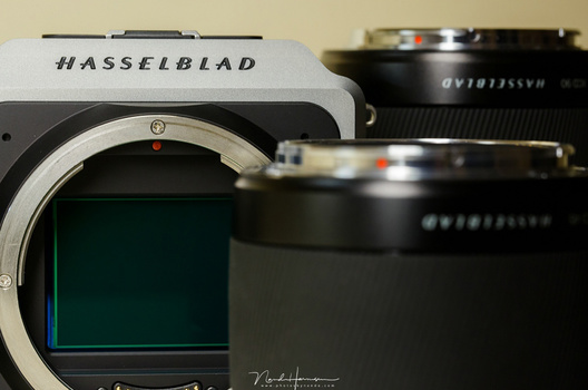 The sensor of the Hasselblad X1D is wonderfull. It has more that enough pixels and the dynamic range is amazing.