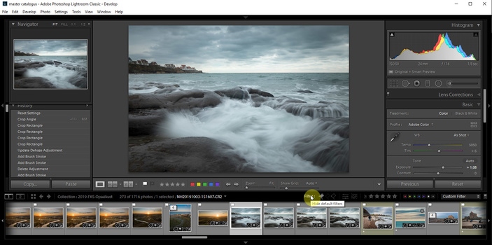 By double clicking on the work "filters" the different filter options will be visible. This way it is very easy to filter the images in your library or collection.