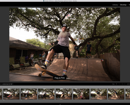 a screen capture of Lightroom's rating systems