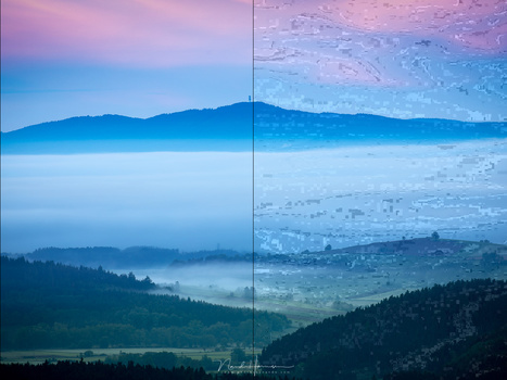 Use the best quality JPEG setting. You won't regret it.
