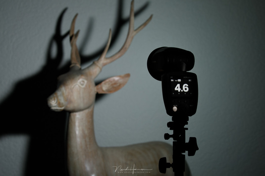 With f/8 and ISO 100 this Profoto A1 flashgun produces a good exposure with this settings.The distance to the subject is about two feet.
