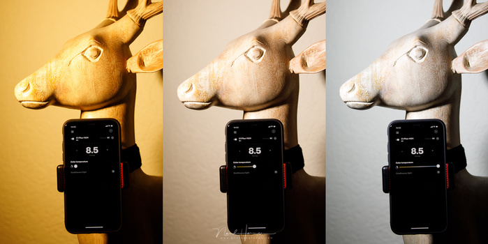 The Profoto C1 Plus has the possibility to change the color temperature of the light, as seen in this example. It can only be changed from the app.