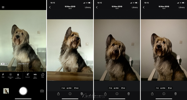 When exposure set in auto, the Profoto C1 Plus works the best. By changing the flash power, you can determine how much ambient light will be recorded. Profoto calls it a natural looking photo, and a dramatic looking photo.