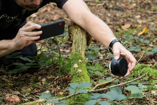 Since you have both the smartphone and the Profoto C1 Plus in your hand, changing settings can be more difficult. You need an extra hand for that.