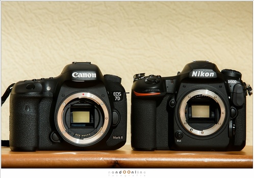 The APS-C sensor is often used in the professional DSLR cameras like this Nikon D500 and Canon EOS 7D mark II. The smaller sensor provides an extra magnification when using lenses, which comes in hany with longer focal lengths. using a large depth of fiel