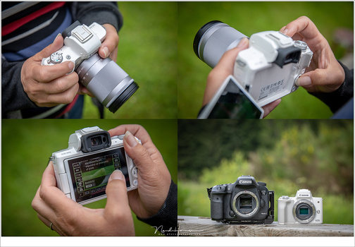 A small APS-C sensor allows cameras to be very small and easy to take with you. Also lenses can be more compact. This one is a consumer camera, and is more compact than its larger brother with the same sensor, as seen in the image bottom right.