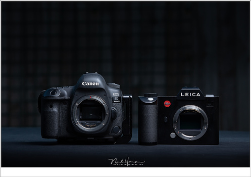 Full frame sensors are considered the standard. Cameras containing these sensors are often called professional cameras.