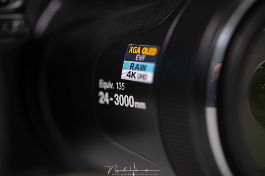 I guess Nikon made this camera to break records, and not for the image quality. Shooting with this camera is limited to lower ISO values if you want an acceptable result.