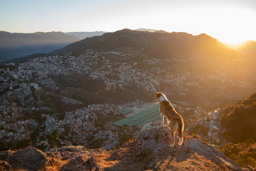 Do on a mountain