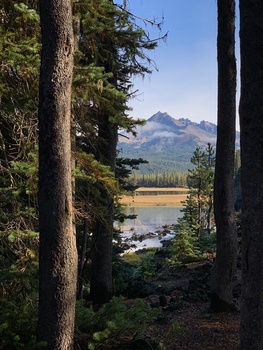 an iPhone nature photo with trees in the foreground and mountains in the background