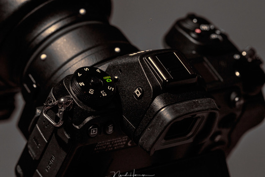 The modern camera of today is very complex. A lot of settings and features are possible. But you can also return to the save green setting, making this complex camera the same as a simple compact camera. But this is not why you bought this type of camera,