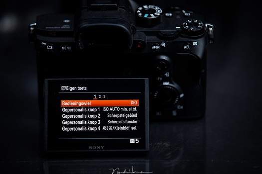 The customizing menu of the Sony A7R III makes it possible to assign a lot of options to buttons. This way you can make the camera very personal. But it might also prevent you from getting to know the camera.