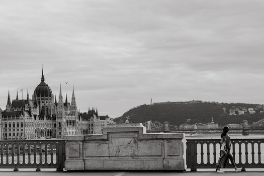Learning how to crop in photography Budapest castle and bridge.