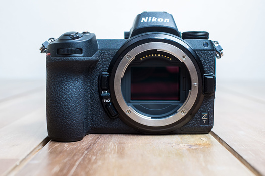 The Nikon Z 7 is an amazing camera. I loved using it, and it has an amazing resolution, allowing a decent crop without loosing too much detail