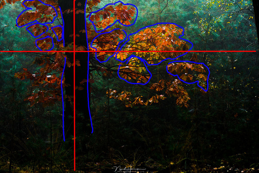 A L-composition is perhaps the most common one, where the elements of the image are located next to the two axis. These are often arranged according to the golden ratio.