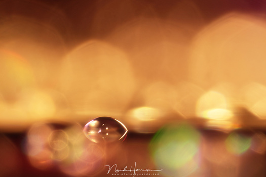 Water droplets on a compact disk (EOS 1Dmk3 + EF17-40mm reversed at 17mm | f/8 | ISO100 | 2.5s)