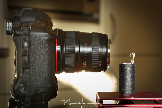 I tested the magnification of a reversed lens by shooting some needles. You can see how close by you need to get with a reversed lens.