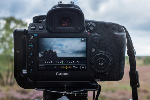 When you learn how a metering mode react under certain situations, you can anticipate with the exposure compensation if you work in aperture priority of shutter speed priority